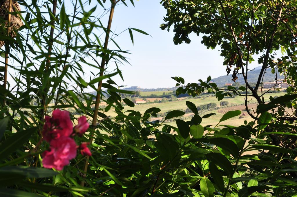Hotel Firenze เคียนเชียโนแตร์เม ภายนอก รูปภาพ